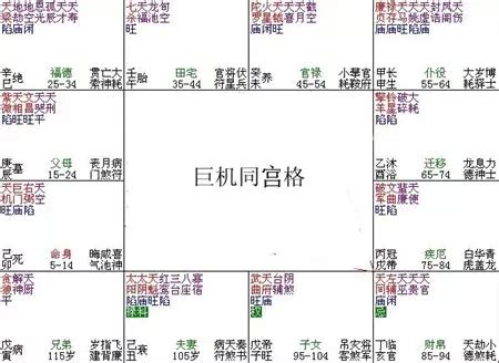 紫微斗數富貴格局|紫微斗數富貴格局——天乙拱命格